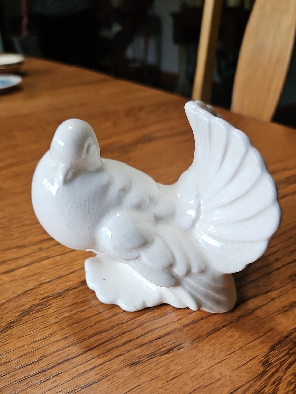 Dove/Pidgeon